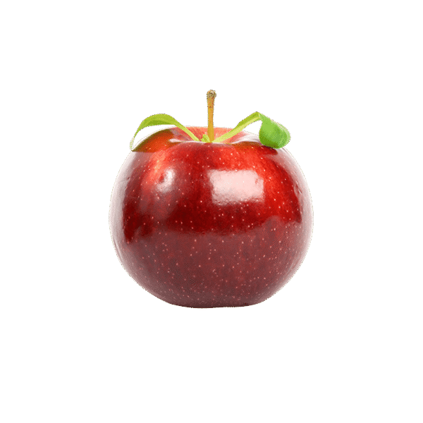 Branch Apple - Image 2