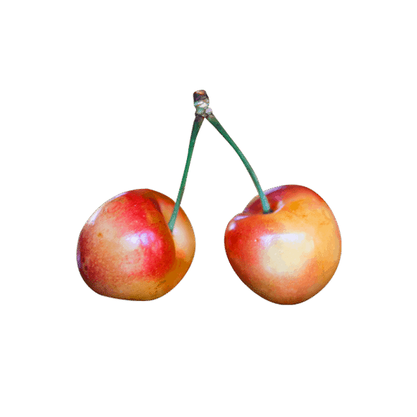 Branch Apple - Image 4