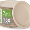 100% Compostable Paper Plates