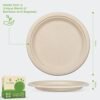 100% Compostable Paper Plates - Image 3