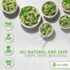 100% Compostable Paper Plates - Image 4