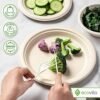 100% Compostable Paper Plates - Image 2